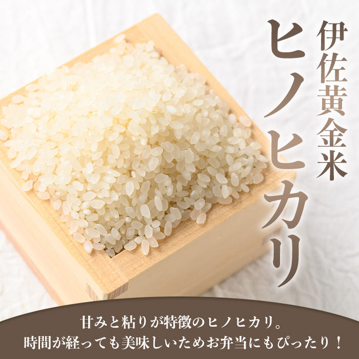 isa792 《数量限定・6回定期便》令和7年産 小北農場の新米 伊佐黄金米〈ヒノヒカリ〉(計60kg・5kg×2袋×6回) 鹿児島 伊佐 新米 お米 60kg 定期便 6回 特別栽培米 伊佐米 白米 ヒノヒカリ ひのひかり おにぎり ごはん 【小北農場】
