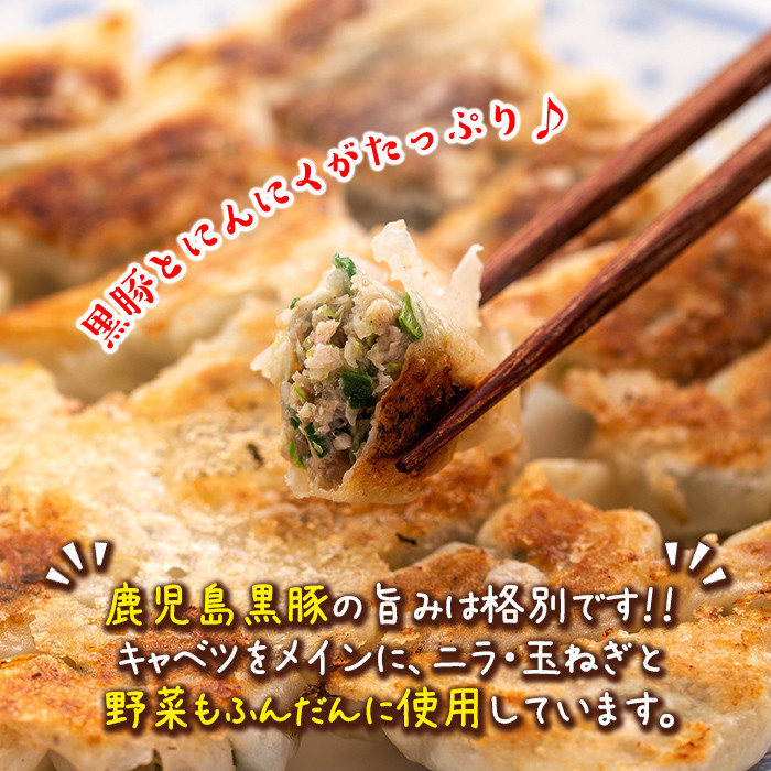 isa781 ＜2025年12月発送分(12月中に発送)＞黒豚にんにく餃子(計152個・8個入り×19P) 鹿児島 生餃子 ギョウザ 黒豚 豚肉 冷凍食品 おかず おつまみ 惣菜 小分け 焼くだけ 簡単調理 冷凍便 【工房ゆう】