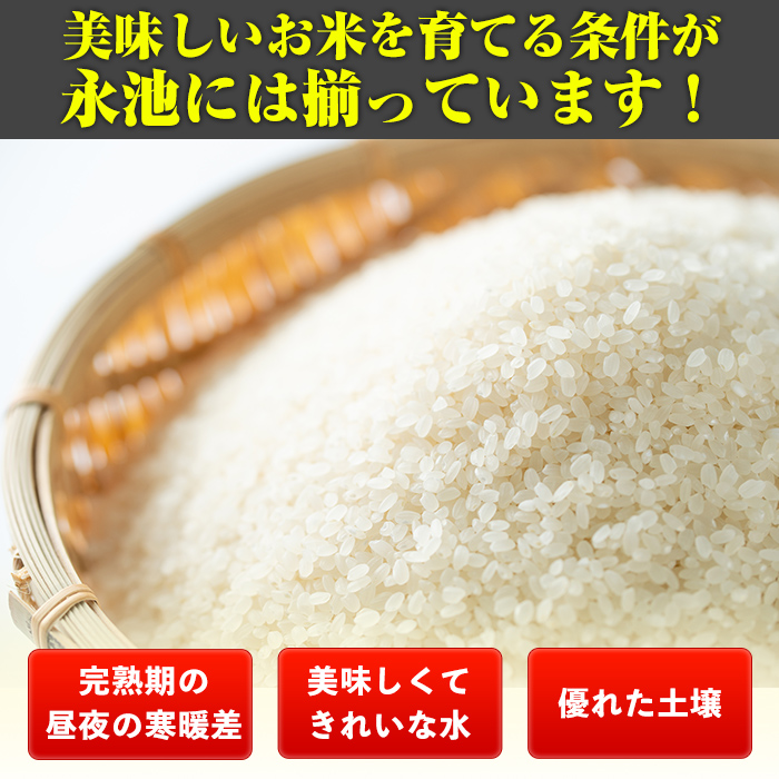 isa745 《数量限定》令和7年産 新米 特別栽培米 伊佐米永池 にじのきらめき(5kg) 伊佐市 永池 特産品 お米 米 白米 精米 伊佐米 にじのきらめき 5kg 【エコファーム永池】