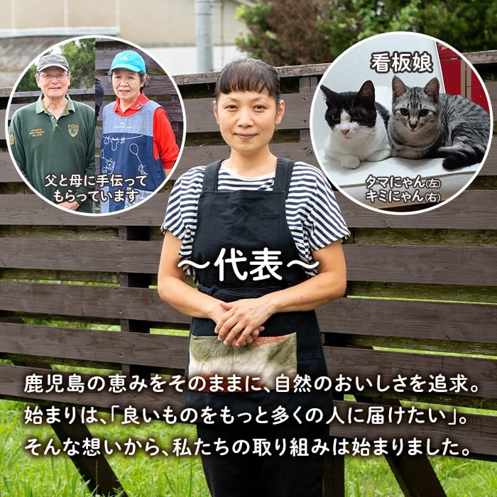 isa598 ドライフルーツサワーポメロ「そのまんまドライしました。」(計12袋・各20g) ドライフルーツ サワーポメロ 砂糖不使用 小分け 手づくり ギフト 加工食品 果物 フルーツ ハンドメイド【薩摩美食倶楽部】