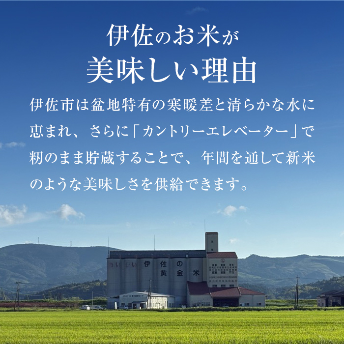 A6-02 いさひかり無洗米(5kg×2袋・計10kg) ふるさと納税 伊佐市 特産品   お米 米 白米 精米 伊佐米 ご飯 ヒノヒカリ 無洗米【JA北さつま】