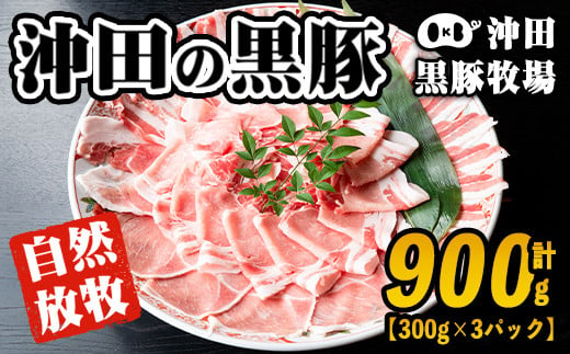 A3-01 鹿児島県産！幻の黒・沖田の黒豚(計900g・ロース、肩ロース、バラ、モモ、ウデいずれか3パック) ふるさと納税 伊佐市 特産品 国産 九州産 鹿児島 肉 お肉  黒豚 豚肉 生姜焼き しょうが焼き しゃぶしゃぶ 冷凍 冷凍便【沖田黒豚牧場】