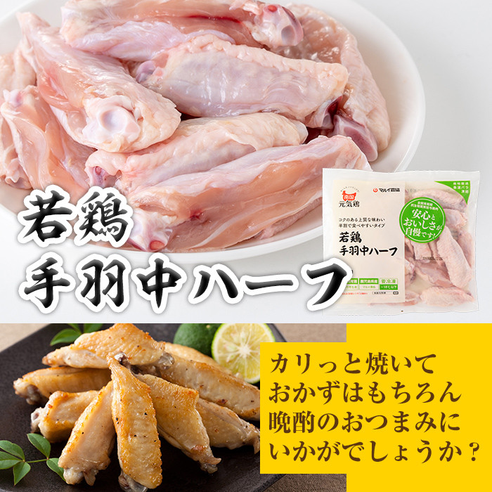 isa490 南国元気鶏セット(合計1.55kg・5種) 鶏肉 小分け もも肉 モモ肉 むね肉 ムネ肉 胸肉 ささみ ササミ ささ身 手羽中 ミンチ切り身 鹿児島 国産 九州産 冷凍 親子丼 サラダチキン チャーハン【マルイ食品】