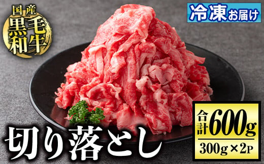 isa508 国産黒毛和牛 切り落とし(計600g・300g×2P)国産 牛 牛肉 肉 BBQ 炒め物 冷凍 冷凍便 詰め合わせ【お肉の直売所 伊佐店】