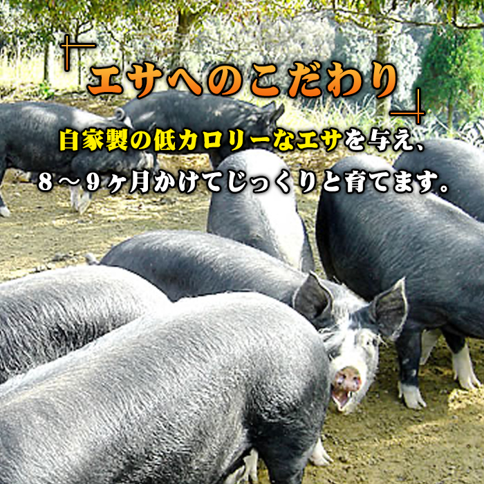 A3-01 鹿児島県産！幻の黒・沖田の黒豚(計900g・ロース、肩ロース、バラ、モモ、ウデいずれか3パック) ふるさと納税 伊佐市 特産品 国産 九州産 鹿児島 肉 お肉  黒豚 豚肉 生姜焼き しょうが焼き しゃぶしゃぶ 冷凍 冷凍便【沖田黒豚牧場】