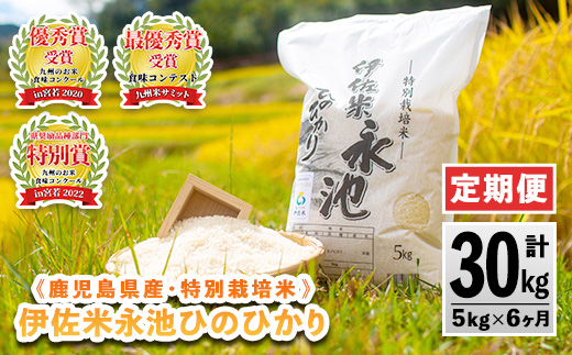 D2-04 【定期便】令和6年産 特別栽培米 伊佐米永池ひのひかり(計30kg・5kg×6ヶ月) ふるさと納税 伊佐市 特産品 鹿児島 永池 お米 米 白米 精米 伊佐米 九州米サミット 食味コンテスト 最優秀賞受賞 ヒノヒカリ 定期便【エコファーム永池】