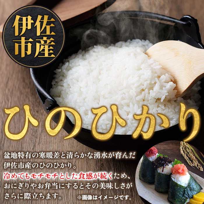 isa856 令和7年度産 鹿児島県伊佐市産米食べ比べセット《ひのひかり・あきほなみ》(通常精米/5kg×各1袋・合計10kg) 鹿児島県 伊佐市 ひのひかり あきほなみ 通常精米 国産米 セット 食べ比べ 米 精米 伊佐米 【タイヨー】