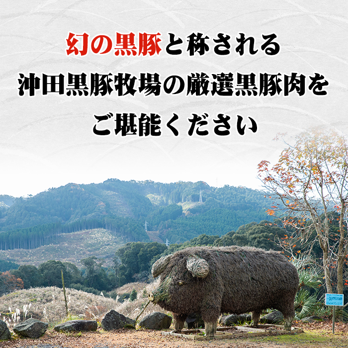 A3-01 鹿児島県産！幻の黒・沖田の黒豚(計900g・ロース、肩ロース、バラ、モモ、ウデいずれか3パック) ふるさと納税 伊佐市 特産品 国産 九州産 鹿児島 肉 お肉  黒豚 豚肉 生姜焼き しょうが焼き しゃぶしゃぶ 冷凍 冷凍便【沖田黒豚牧場】