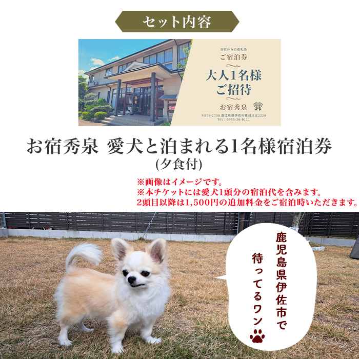 isa814 お宿秀泉 愛犬と泊まれる1名様宿泊券(夕食付) 鹿児島県 伊佐市 宿泊 宿泊券 宿泊チケット 旅行 天然温泉 伊佐米 黒毛和牛 ステーキ 愛犬 犬 同伴可 【お宿秀泉】