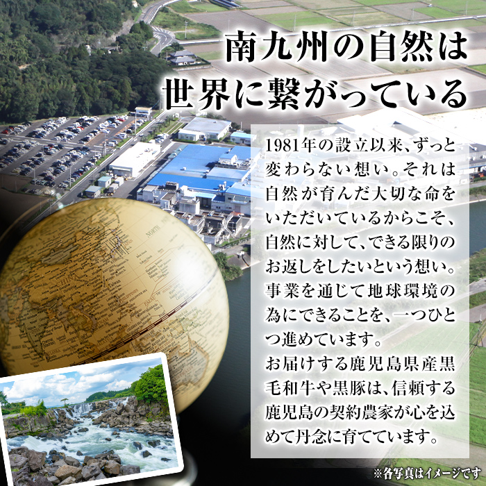 isa879 鹿児島県産黒毛和牛 肩ローススライス(計700g・350g×2P) 4等級以上！ 国産 牛肉 霜降り 国産 牛肉 霜降り 家庭用 冷凍 【サンキョーミート】