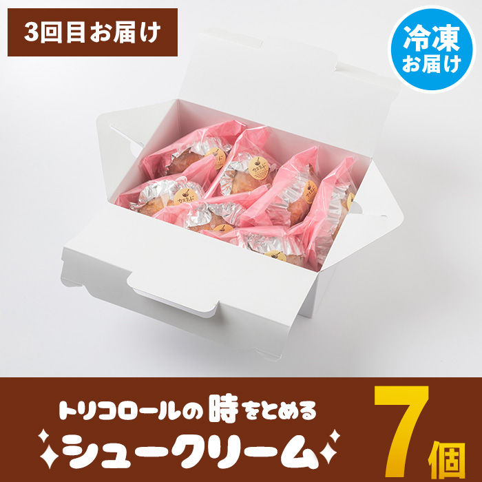 isa583 ＜定期便・全3回(隔月)＞伊佐銘菓！トリコロールの人気セット(3種)お菓子 おかし 焼き菓子 お茶菓子 チーズブッセ シフォンケーキ シュークリーム おやつ 手土産 ギフト 贈答【ケーキハウストリコロール】