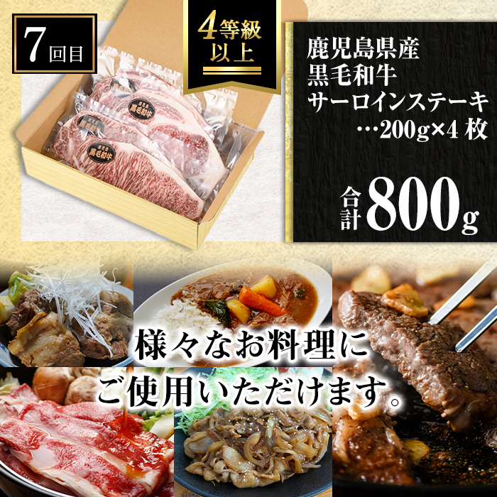 isa448 【定期便7回】工場新設Sコース (合計9.3kg超) 国産 肉 牛肉 豚肉 切り落とし 霜降り しゃぶしゃぶ 冷凍 ステーキ BBQ【サンキョーミート株式会社】