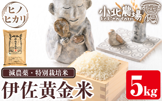isa599 《数量限定》令和7年産 小北農場のお米 伊佐黄金米〈ヒノヒカリ〉(5kg) 鹿児島 伊佐 お米 特別栽培米 伊佐米 白米 ヒノヒカリ ひのひかり おにぎり ごはん 【小北農場】