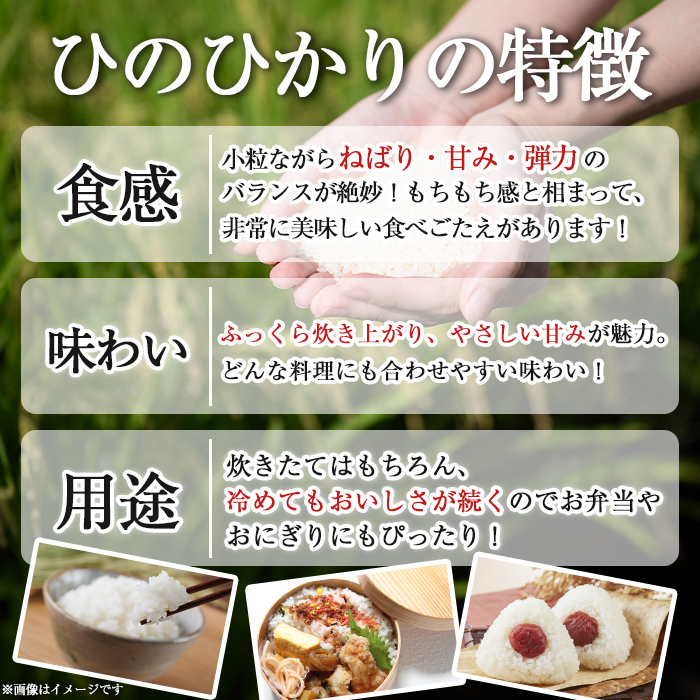 isa845 鹿児島県産ひのひかり・あきほなみ食べ比べセット(各5kg・合計10kg) 国産 鹿児島県 米 お米 白米 伊佐米 ひのひかり あきほなみ 食べ比べ セット 【赤崎農園】