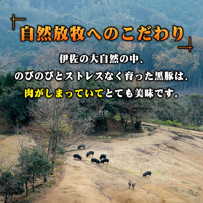 A3-01 鹿児島県産！幻の黒・沖田の黒豚(計900g・ロース、肩ロース、バラ、モモ、ウデいずれか3パック) ふるさと納税 伊佐市 特産品 国産 九州産 鹿児島 肉 お肉  黒豚 豚肉 生姜焼き しょうが焼き しゃぶしゃぶ 冷凍 冷凍便【沖田黒豚牧場】