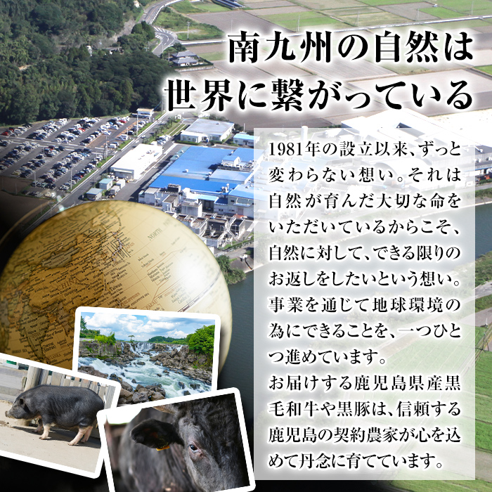 isa477 【12/10までのご入金で年内発送】鹿児島県産黒毛和牛 サーロインステーキ(計800g・200g×4枚) 国産 真空包装 真空パック サーロイン ステーキ 牛 うし 牛肉 アウトドア BBQ 冷凍 贈答【サンキョーミート株式会社】