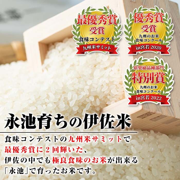 Z5-10 ＜14営業日以内に発送！＞《数量限定》令和7年産 特別栽培米 伊佐米永池ひのひかり(3kg) 伊佐市 永池 特産品 伊佐米 九州米サミット 食味コンテスト 最優秀賞受賞 ヒノヒカリ 3kg 【エコファーム永池】