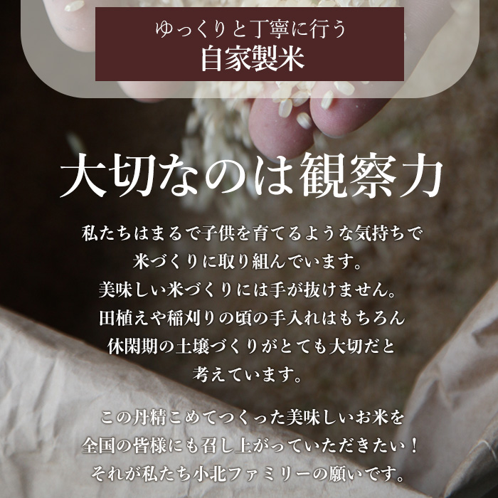 isa603 《数量限定・12回定期便》小北農場のお米 伊佐黄金米〈ヒノヒカリ〉(計60kg・5kg×1袋×12回) 鹿児島 伊佐 お米 特別栽培米 伊佐米 白米 ヒノヒカリ ひのひかり おにぎり ごはん 【小北農場】