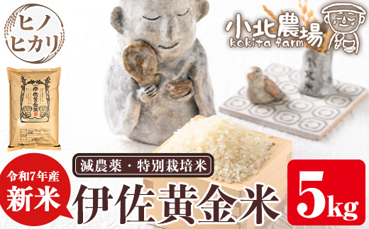 isa599 《数量限定》令和7年産 小北農場の新米 伊佐黄金米〈ヒノヒカリ〉(5kg) 鹿児島 伊佐 新米 お米 特別栽培米 伊佐米 白米 ヒノヒカリ ひのひかり おにぎり ごはん 【小北農場】