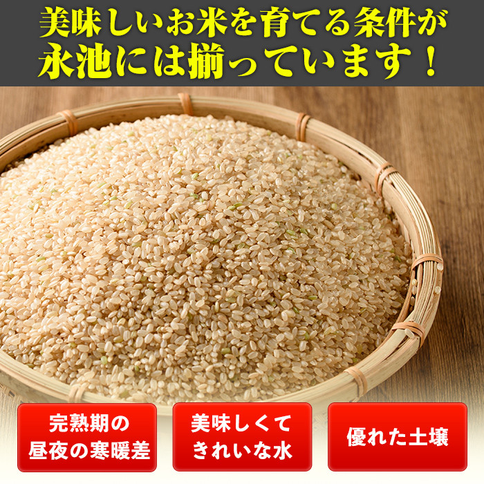 isa537 【定期便】令和6年産 新米 特別栽培米 永池ひのひかり玄米(計15kg・5kg×3ヶ月) 鹿児島 永池 お米 米 玄米 伊佐米 九州米サミット 食味コンテスト 最優秀賞受賞 ヒノヒカリ【エコファーム永池】