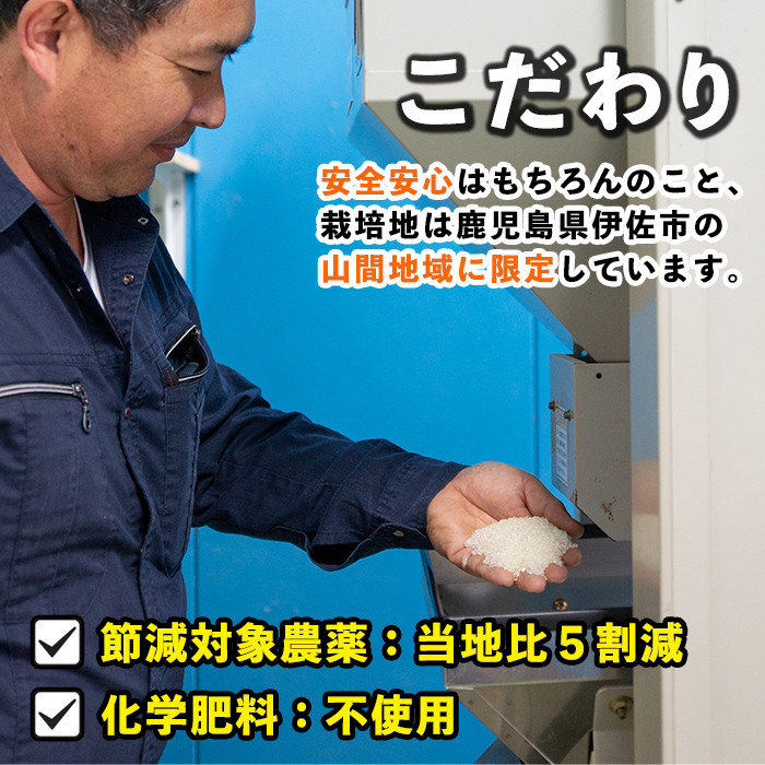 isa277 《数量限定》かめさんのお米(5kg・なつほのか・無洗米) ふるさと納税 伊佐市 特産品 国産 白米 精米  無洗米 伊佐米 お米 米 生産者 新米【Farm-K】