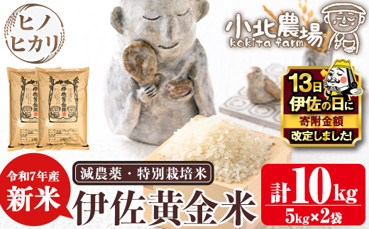 isa600 【伊佐の日・寄附額改定】《数量限定》令和7年産 小北農場の新米 伊佐黄金米〈ヒノヒカリ〉(10kg) 鹿児島 伊佐 新米 お米 特別栽培米 伊佐米 白米 ヒノヒカリ ひのひかり おにぎり ごはん 【小北農場】