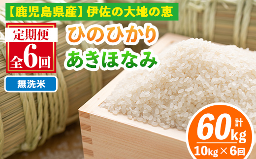 isa518-B 【定期便6回】 ＜無洗米＞令和7年産 鹿児島県伊佐南浦産 ひのひかり5kg・あきほなみ5kg (合計60kg・計10kg×6ヵ月) 国産 白米 精米 無洗米 伊佐米 お米 米 生産者 ひのひかり あきほなみ 定期便【Farm-K】