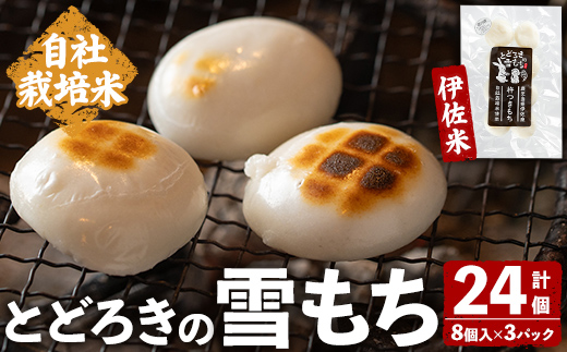 isa940 とどろきの雪もち(8個入×3P・計24個) 鹿児島県 伊佐市 もち 餅 丸もち 国産 保存食 玄米加工 ぜんざい お雑煮 焼き餅 真空パック 小分け 自社栽培米 伊佐米 杵つきもち 【グリーンネットワークとどろき】