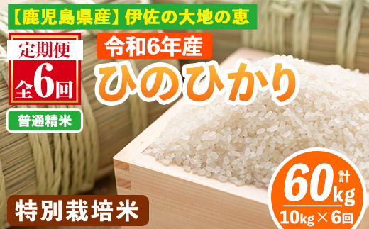 isa517-A 【定期便6回】 ＜普通精米＞令和6年産 鹿児島県伊佐産 特別栽培ひのひかり(計60kg・10kg×6ヵ月) 国産 白米 精米 伊佐米 お米 米 生産者 ひのひかり 定期便 【Farm-K】