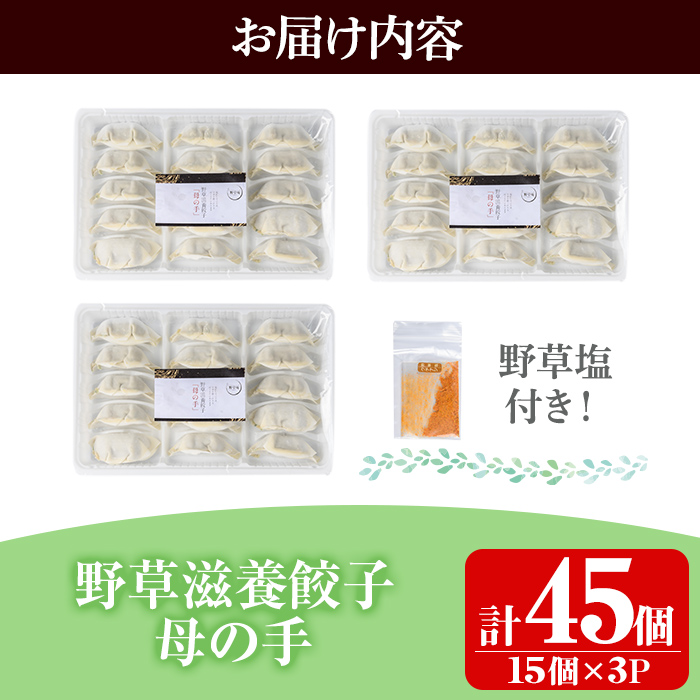 isa426 野草滋養餃子「母の手」(計45個・15個×3P) ふるさと納税 伊佐市 特産品 ギョーザ ぎょうざ 鹿児島 手作り ギョウザ 豚肉 冷凍食品 おかず おつまみ 惣菜 小分け 焼くだけ 簡単調理 冷凍便【やさしいまち】