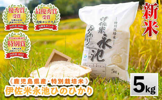 Z7-01 令和6年産 新米 特別栽培米 永池ひのひかり(5kg) ふるさと納税 伊佐市 特産品 鹿児島 永池 お米 米 白米 精米 伊佐米 九州米サミット 食味コンテスト 最優秀賞受賞 ヒノヒカリ【エコファーム永池】