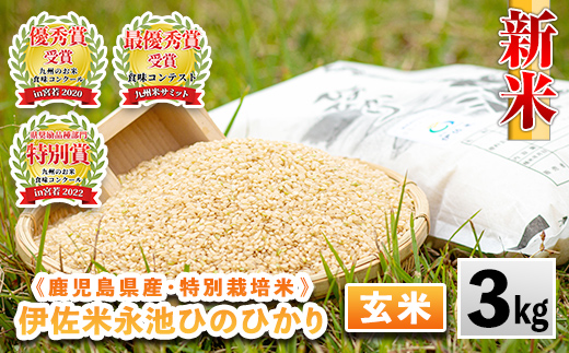 isa535 令和6年産 新米 特別栽培米 永池ひのひかり玄米(3kg) 鹿児島 永池 お米 米 玄米 伊佐米 九州米サミット 食味コンテスト 最優秀賞受賞 ヒノヒカリ【エコファーム永池】