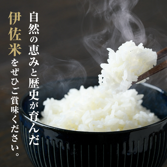 A6-02 いさひかり無洗米(5kg×2袋・計10kg) ふるさと納税 伊佐市 特産品   お米 米 白米 精米 伊佐米 ご飯 ヒノヒカリ 無洗米【JA北さつま】