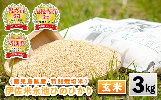 isa535 令和6年産 特別栽培米 永池ひのひかり玄米(3kg) 鹿児島 永池 お米 米 玄米 伊佐米 九州米サミット 食味コンテスト 最優秀賞受賞 ヒノヒカリ【エコファーム永池】