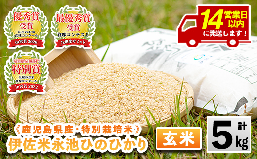 isa400 ＜14営業日以内に発送！＞令和7年産 特別栽培米 永池ひのひかり玄米(5kg) 鹿児島 永池 お米 米 玄米 伊佐米 九州米サミット 食味コンテスト 最優秀賞受賞 ヒノヒカリ 【エコファーム永池】