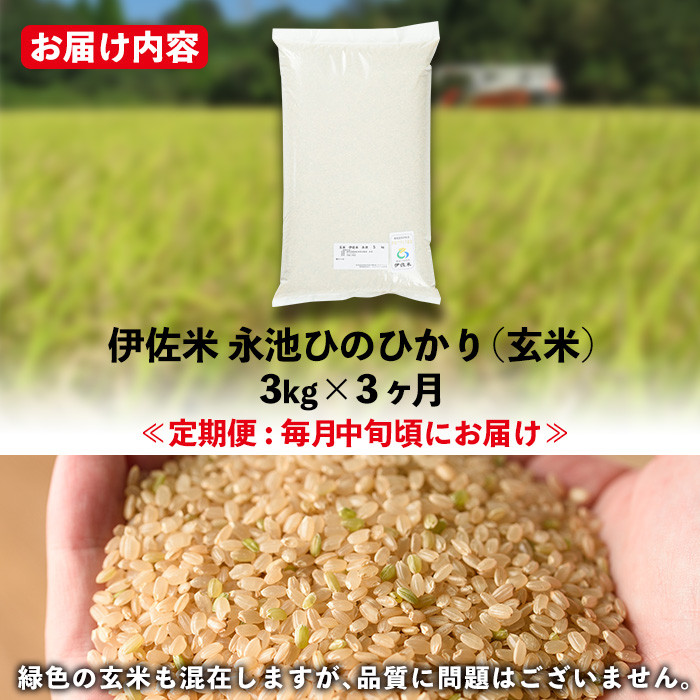 isa536 【定期便】令和6年産 新米 特別栽培米 永池ひのひかり玄米(計9kg・3kg×3ヶ月) 鹿児島 永池 お米 米 玄米 伊佐米 九州米サミット 食味コンテスト 最優秀賞受賞 ヒノヒカリ【エコファーム永池】