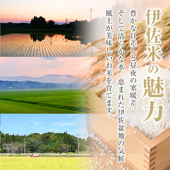 A7-03 いさひかり(5kg×2袋・計10kg) ふるさと納税 伊佐市 特産品  お米 米 白米 精米 伊佐米 ご飯 ヒノヒカリ【JA北さつま】