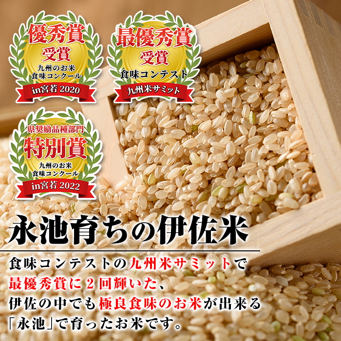 isa400 令和6年産 新米 特別栽培米 永池ひのひかり玄米(5kg) ふるさと納税 伊佐市 特産品 鹿児島 永池 お米 米 玄米 伊佐米 九州米サミット 食味コンテスト 最優秀賞受賞 ヒノヒカリ【エコファーム永池】