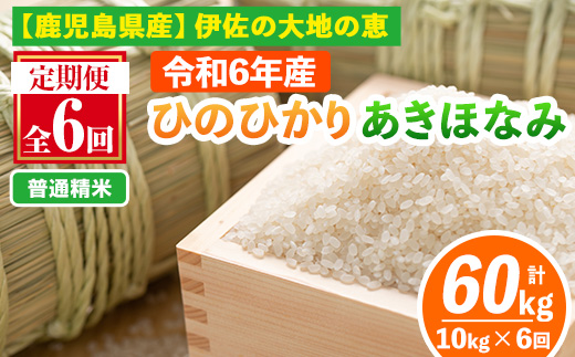 isa518-A 【定期便6回】 ＜普通精米＞令和6年産 鹿児島県伊佐南浦産 ひのひかり5kg・あきほなみ5kg (合計60kg・計10kg×6ヵ月) 国産 白米 精米 伊佐米 お米 米 生産者 ひのひかり あきほなみ 定期便 【Farm-K】