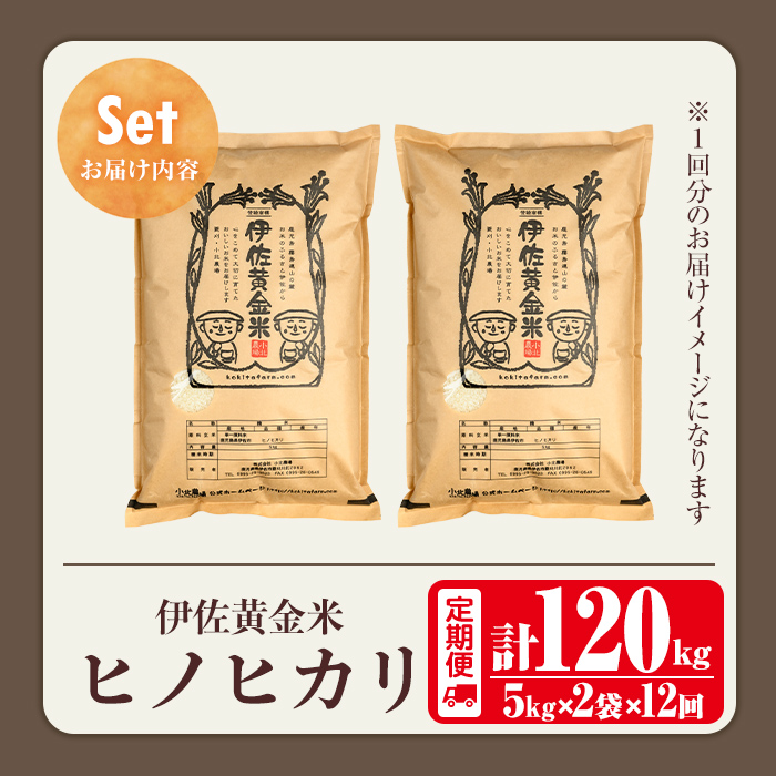 isa793 《数量限定・12回定期便》令和7年産 小北農場の新米 伊佐黄金米〈ヒノヒカリ〉(計120kg・5kg×2袋×12回) 鹿児島 伊佐 新米 お米 120kg 定期便 12回 特別栽培米 伊佐米 白米 ヒノヒカリ ひのひかり おにぎり ごはん 【小北農場】