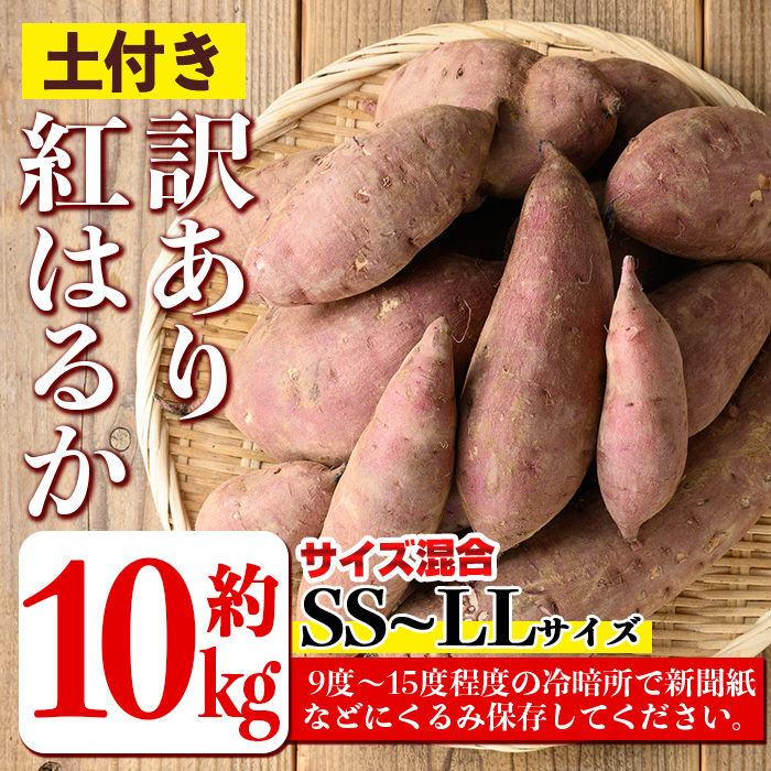 isa877 《訳あり》熟成紅はるか(約10kg・SS～LLサイズ混合) 訳あり さつまいも 紅はるか 鹿児島 生芋 完熟 長期熟成 土付き べにはるか サツマイモ 焼き芋に 【いさ工房】