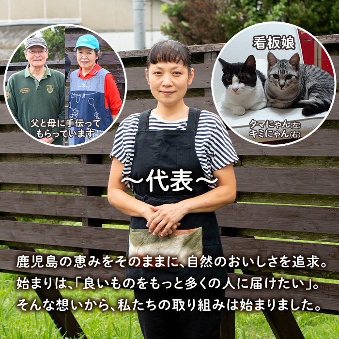 isa862 冷凍ボンタン(計6袋・各130g) 冷凍 ボンタン 加工 果物 フルーツ ハンドメイド 手づくり スムージー ヘルシー トッピング 爽やか おやつ 【薩摩美食倶楽部】