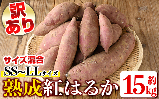 isa878 《訳あり》熟成紅はるか(約15kg・SS～LLサイズ混合) 訳あり さつまいも 紅はるか 鹿児島 生芋 完熟 長期熟成 土付き べにはるか サツマイモ 焼き芋に 【いさ工房】