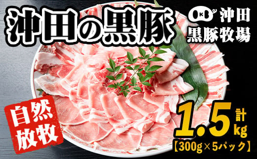 B6-01 鹿児島県産！贅沢な黒・沖田の黒豚(計1.5kg・ロース、肩ロース、バラ、モモ、ウデいずれか5パック) ふるさと納税 伊佐市 特産品 国産 九州産 鹿児島 肉 お肉  黒豚 豚肉 生姜焼き しょうが焼き しゃぶしゃぶ 冷凍 冷凍便【沖田黒豚牧場】