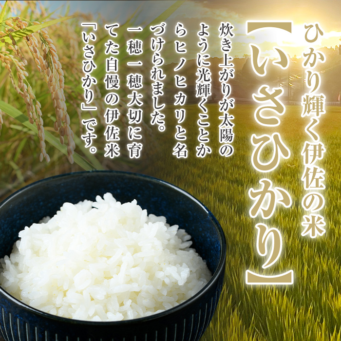 A7-03 いさひかり(5kg×2袋・計10kg) ふるさと納税 伊佐市 特産品  お米 米 白米 精米 伊佐米 ご飯 ヒノヒカリ【JA北さつま】