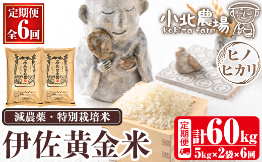 isa792 《数量限定・6回定期便》令和7年産 小北農場のお米 伊佐黄金米〈ヒノヒカリ〉(計60kg・5kg×2袋×6回) 鹿児島 伊佐 お米 60kg 定期便 6回 特別栽培米 伊佐米 白米 ヒノヒカリ ひのひかり おにぎり ごはん 【小北農場】