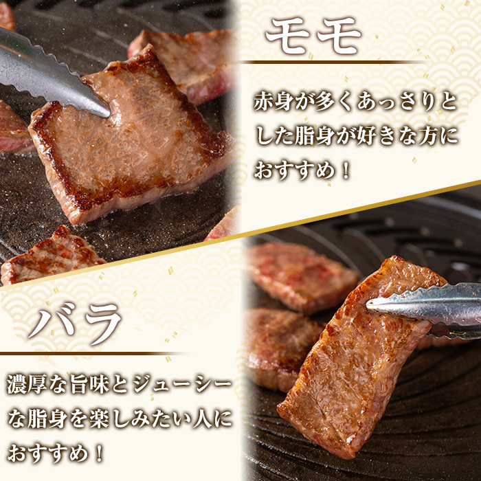 isa507 鹿児島産黒毛和牛 食べ比べ焼肉セット(計600g・バラカルビ・モモ焼肉各種300g×1P)国産 牛 牛肉 肉 味付き BBQ 炒め物 冷凍 冷凍便 カルビ 詰め合わせ【お肉の直売所 伊佐店】