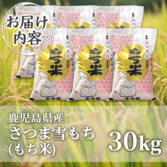isa1112 ＜先行予約受付中！2026年11月中旬以降順次発送＞令和8年産 新米 鹿児島県産もち米(30kg) 国産 鹿児島県 餅米 お米 新米 おはぎ 赤飯 おこわ 伊佐米 【赤崎農園】