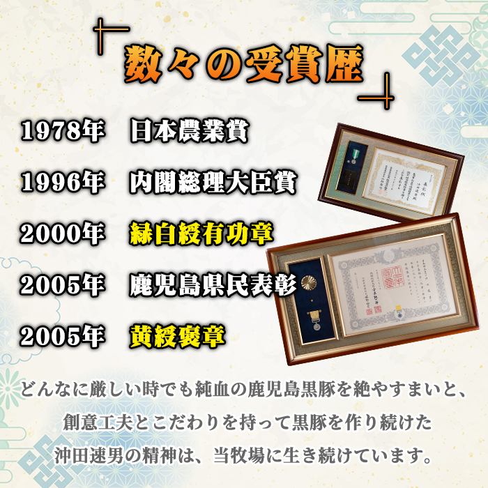 A3-01 鹿児島県産！幻の黒・沖田の黒豚(計900g・ロース、肩ロース、バラ、モモ、ウデいずれか3パック) ふるさと納税 伊佐市 特産品 国産 九州産 鹿児島 肉 お肉  黒豚 豚肉 生姜焼き しょうが焼き しゃぶしゃぶ 冷凍 冷凍便【沖田黒豚牧場】