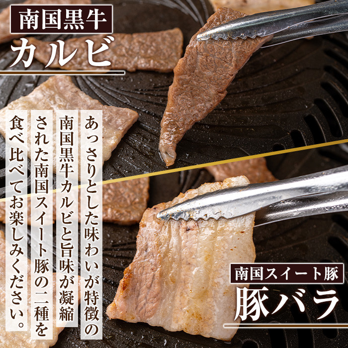 isa262 焼肉セット(計500g・南国黒牛250g/南国スイート豚250g)牛肉 国産 豚肉 焼肉 BBQ 食べ比べ 肉専用種【お肉の直売所 伊佐店】